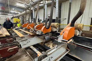 2022 Newman km16 Trim Saw